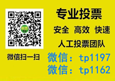 晋城市微信手动投票费多少钱让我告诉你微信投了多少